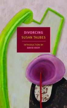Divorcing Read online