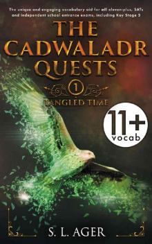 The Cadwaladr Quests Read online