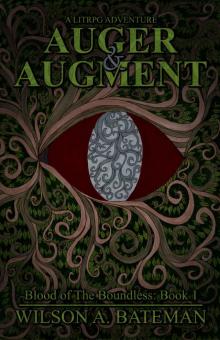 Auger & Augment Read online