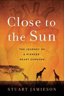 Close to the Sun Read online