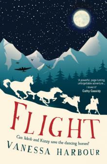 Flight Read online