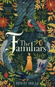 The Familiars Read online