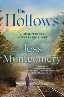 The Hollows--A Novel Read online