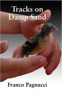 Tracks on Damp Sand Read online