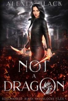 Not a Dragon: Soulmarked: Kiara Ravenlocke Files 1 Read online