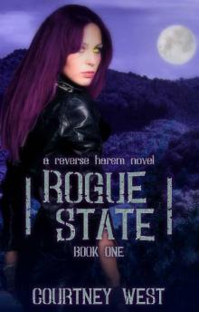 Rogue State Read online