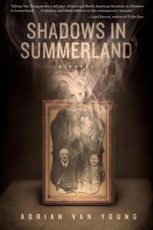 Shadows in Summerland Read online