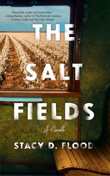 The Salt Fields Read online