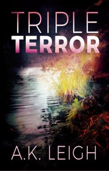 Triple Terror Read online