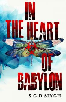 In the Heart of Babylon Read online