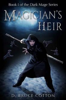 Magician's Heir Read online