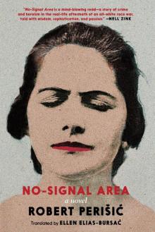 No-Signal Area Read online