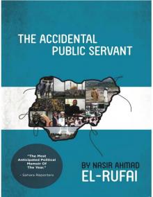 The Accidental Public Servant Read online