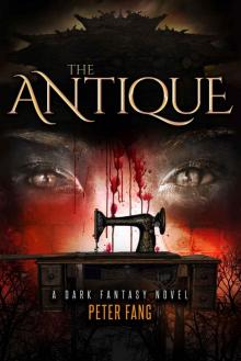 The Antique Read online