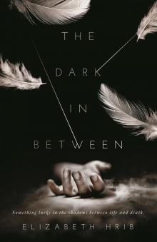 The Dark In-Between Read online