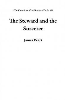 The Steward and the Sorcerer Read online