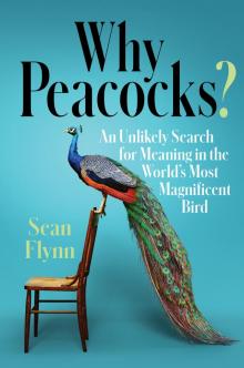 Why Peacocks? Read online