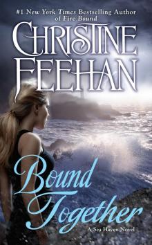Read Christine Feehan Books, Reading Order | Free Online Novels
