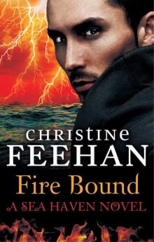 Read Christine Feehan Books, Reading Order | Free Online Novels