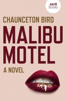 Malibu Motel Read online