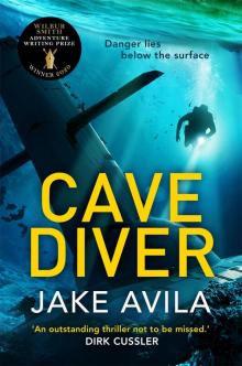 Cave Diver Read online