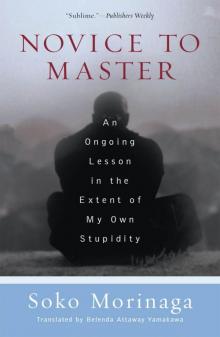 Novice to Master Read online