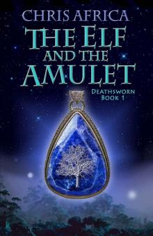 The Elf and the Amulet Read online