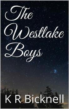 The Westlake Boys Read online