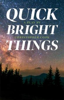 Quick Bright Things Read online