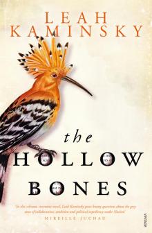 The Hollow Bones Read online