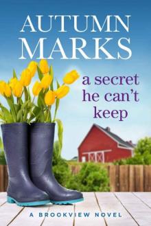 A Secret He Can't Keep: A Small Town Opposites Attract Romance (Brookview, Ohio Book 2) Read online