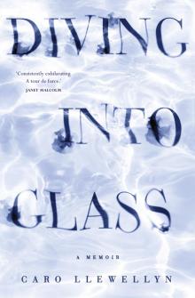 Diving into Glass Read online