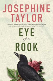 Eye of a Rook Read online