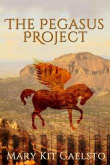 The Pegasus Project: A Musimagium Story (The Pegasus Enchantment Book 1) Read online