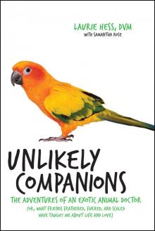 Unlikely Companions Read online