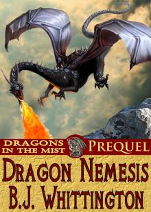 Dragon Nemesis Read online
