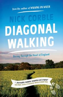Diagonal Walking Read online