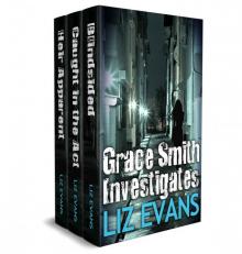Grace Smith Investigates Read online