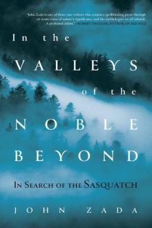 In the Valleys of the Noble Beyond Read online