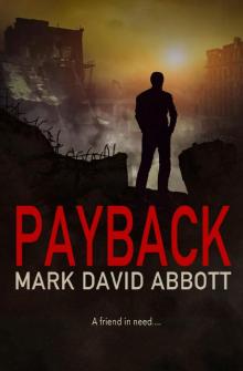 Payback - John Hayes Series 06 (2020) Read online
