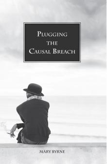 Plugging the Causal Breach Read online