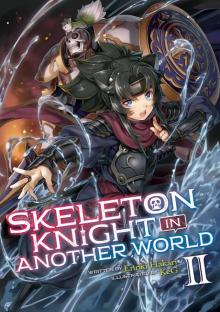 Skeleton Knight in Another World Vol. 2 Read online