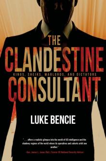 The Clandestine Consultant Read online