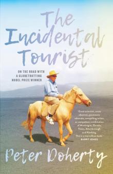 The Incidental Tourist Read online