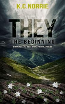 They- The Beginning Read online