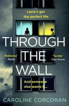 Through the Wall Read online