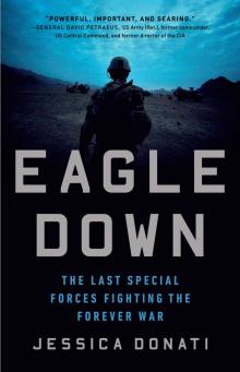 Eagle Down Read online