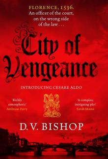 City of Vengeance Read online