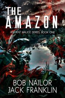 The Amazon Read online