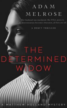 The Determined Widow (The Matthew Holland Mystery Series) Read online